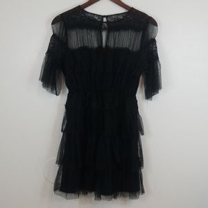 Zara Black Mesh Floral Embroidery Mini Dress